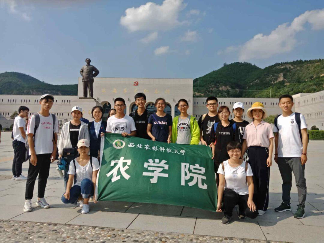 探索知识星球平台,尽享瘦脸有哪些小妙招呢?的精彩分享